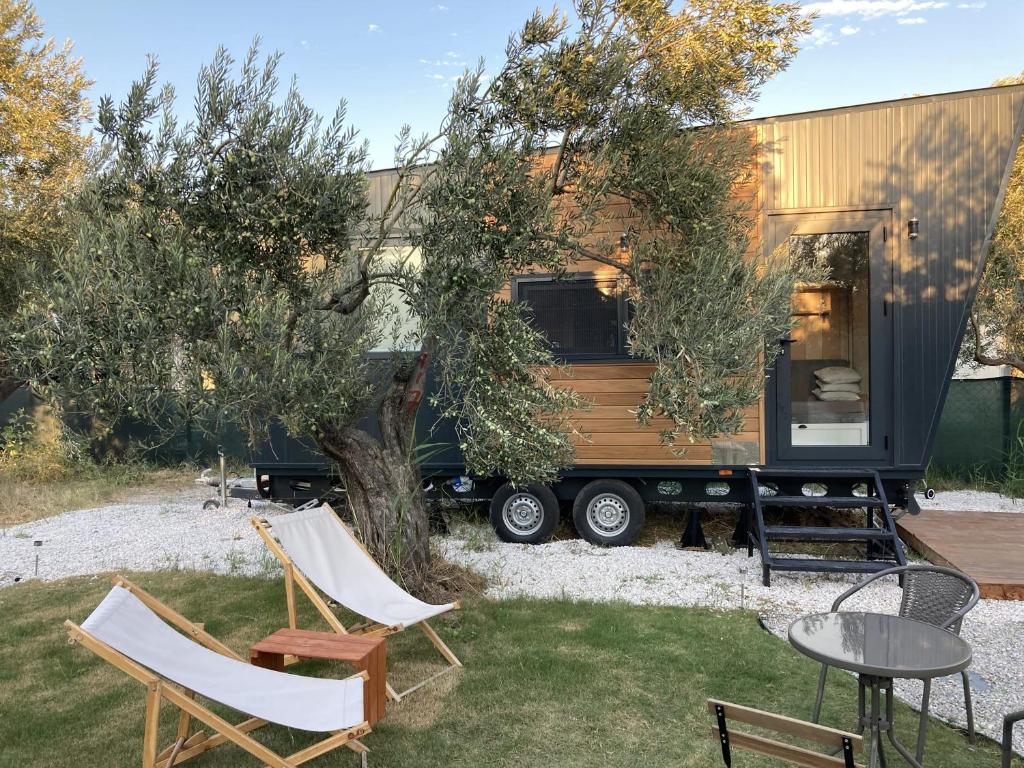Modern Tiny House Surrounded by Olive Trees in Ayvacik