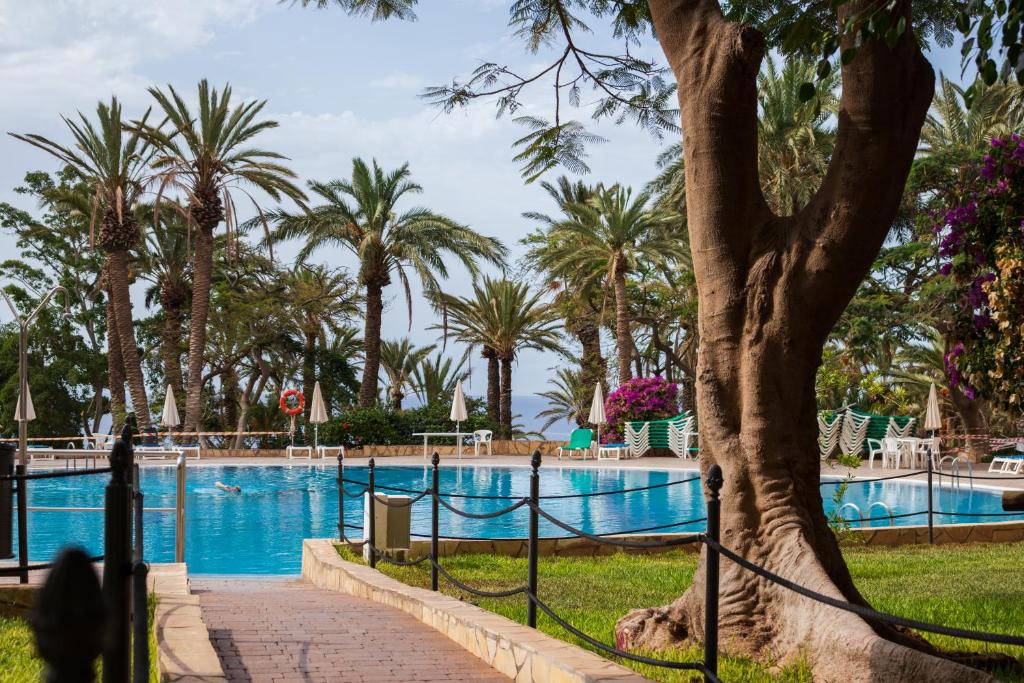 a swimming pool with palm trees and a fence at Résidence Pierre & Vacances Marazul del Sur in Callao Salvaje