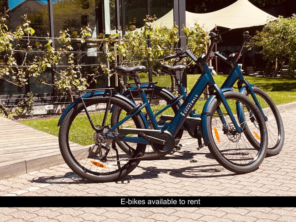 Hostellerie du Grünewald - Resim 14