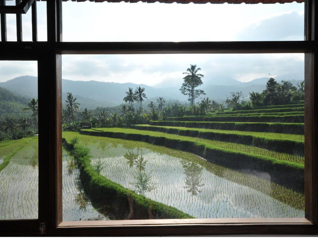 Lesong Hotel and Restaurant - 7