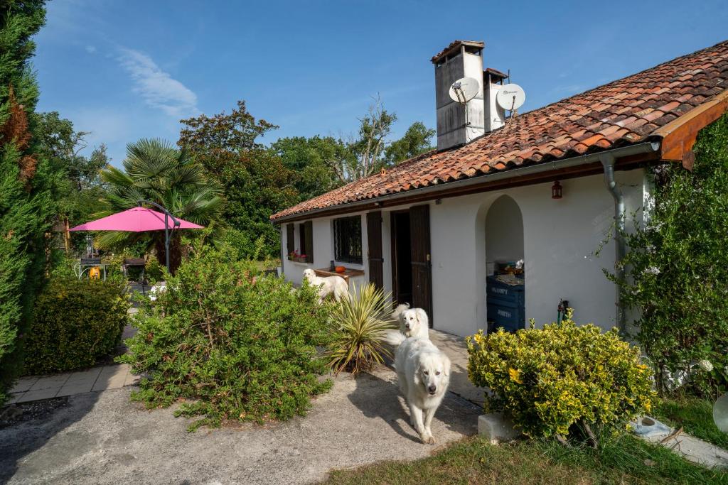 Budova, kde se bed and breakfast nachází