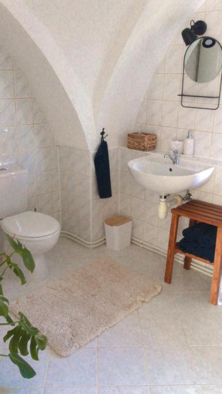 Koupelna v ubytování Apartmán v koňském areálu Židovice