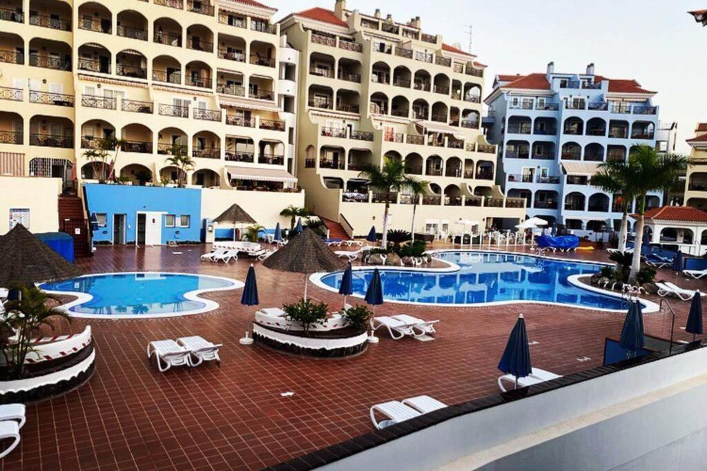 Dinastia de la Reina, Arona – Updated 2023 Prices