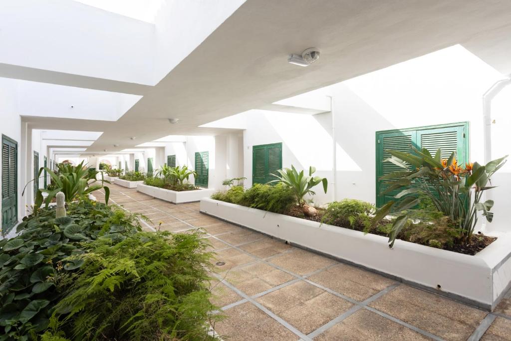 Vonkajšia záhrada v ubytovaní Duplex en Residencial Balancón