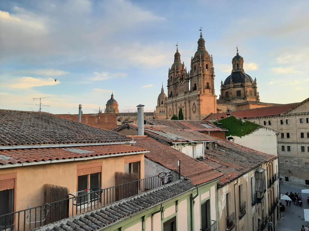 Apartamentos Celestina by gaiarooms - 12