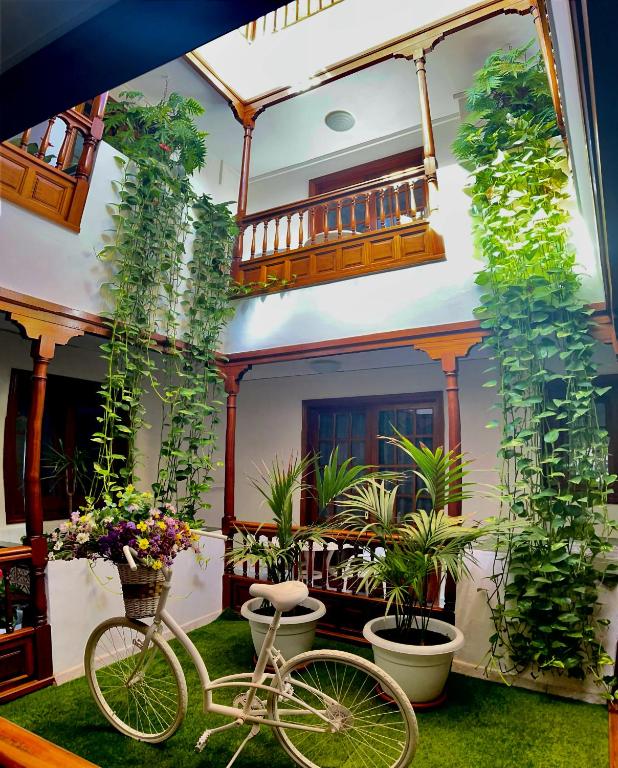 a bike parked in front of a house with plants at Apartamentos Tapahuga in Playa de Santiago