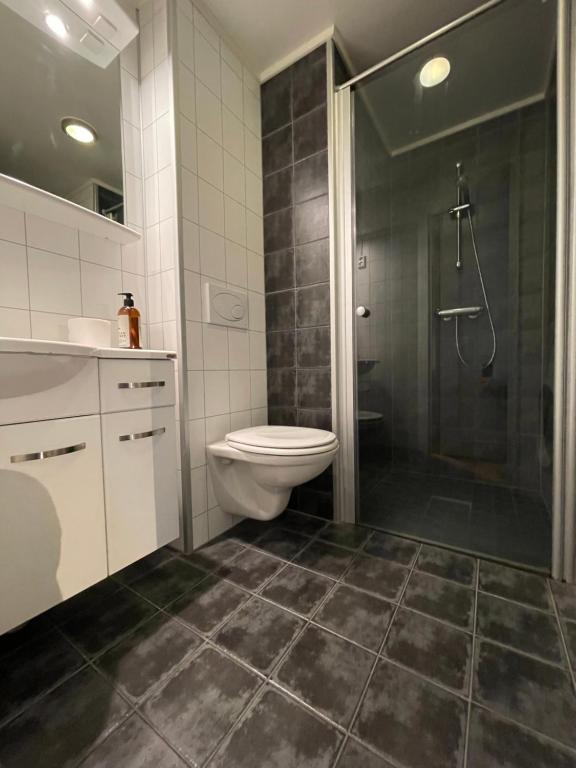 Koupelna v ubytování Novatind - Studio apartment with free parking