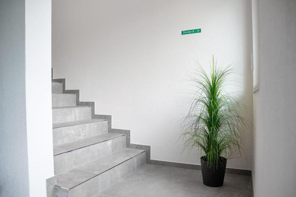 Fotografie z fotogalerie ubytování Hotel Grüne Elster v destinaci Fürth
