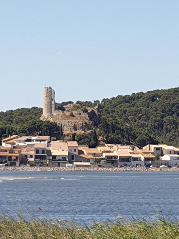 un groupe de bâtiments sur une colline à côté d'une masse d'eau dans l'établissement chalet typique 50 m de la mer, à Gruissan