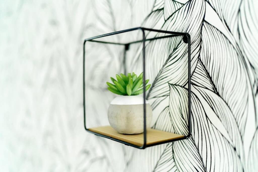 a plant in a glass container on a shelf at La Villetta G Blotzheim - Appartement de Standing in Blotzheim