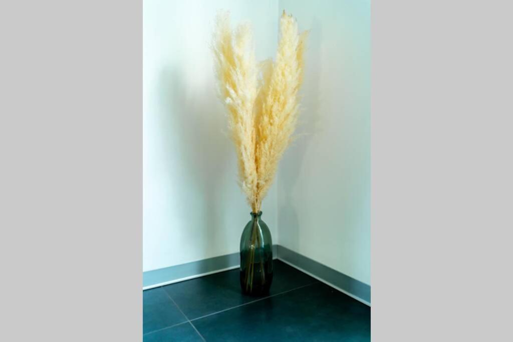 a vase with grass in a corner of a room at La Villetta G Blotzheim - Appartement de Standing in Blotzheim