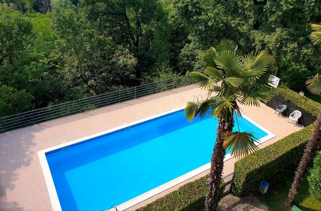 een uitzicht over een zwembad met een palmboom bij Paradiso Sweet Apartment Lake View&Pool in Cavalcaselle