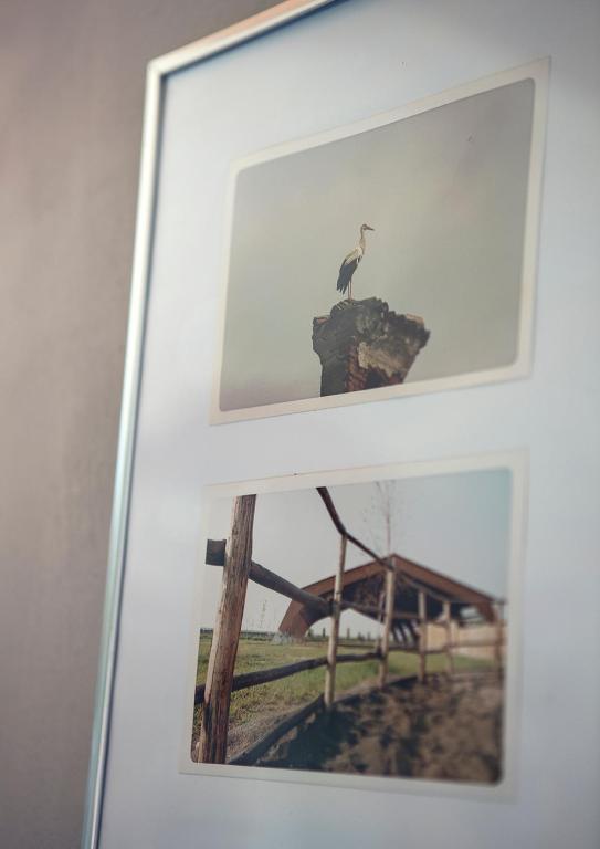 Fotografie z fotogalerie ubytování SCUDERIA LA COLOMBERA v destinaci Binasco