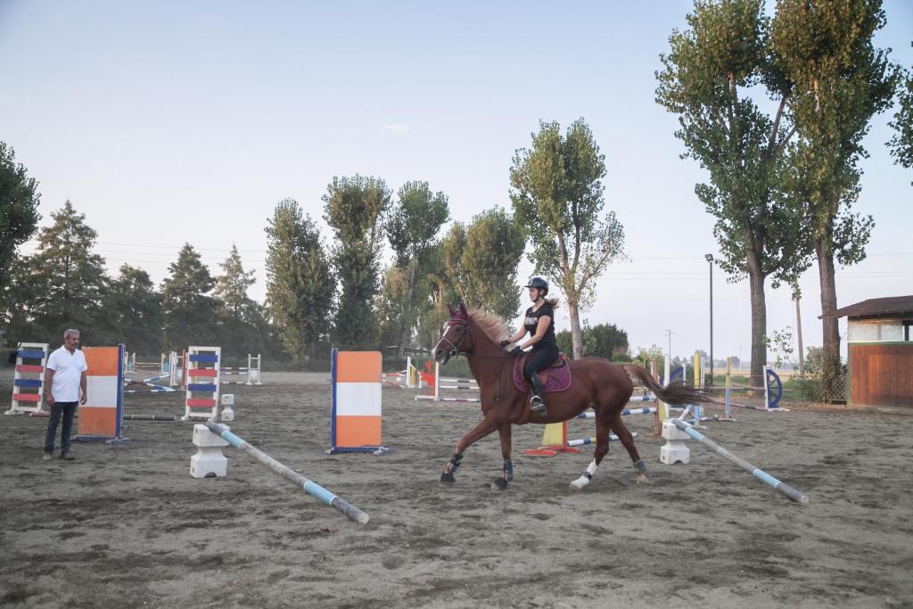 Hosté ubytování SCUDERIA LA COLOMBERA