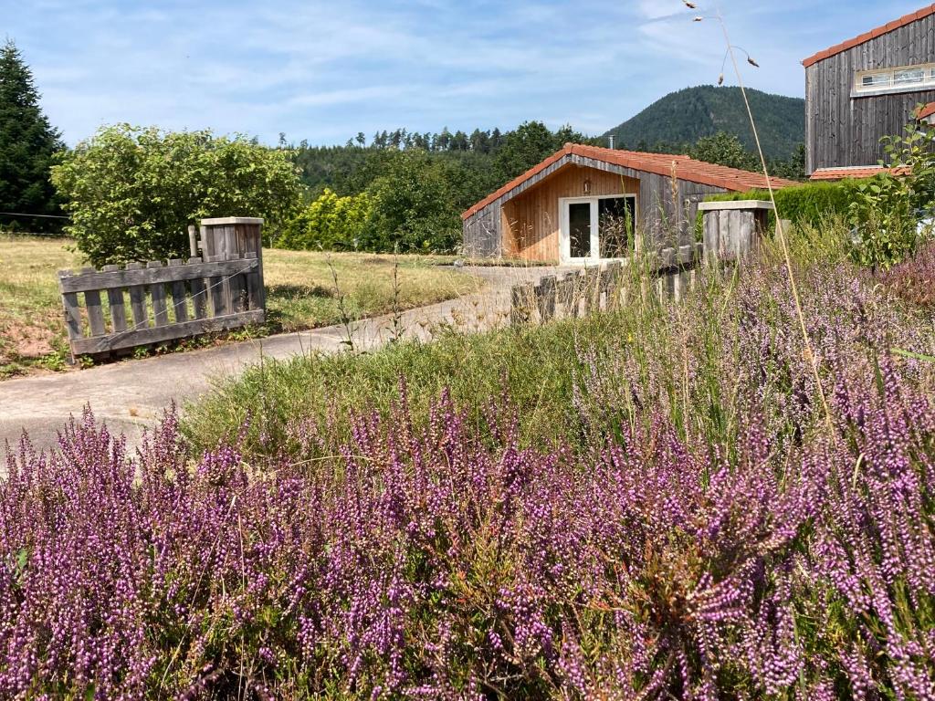 um campo de flores roxas em frente a um edifício em Le Chalet dans la Nature em Saulcy-sur-Meurthe