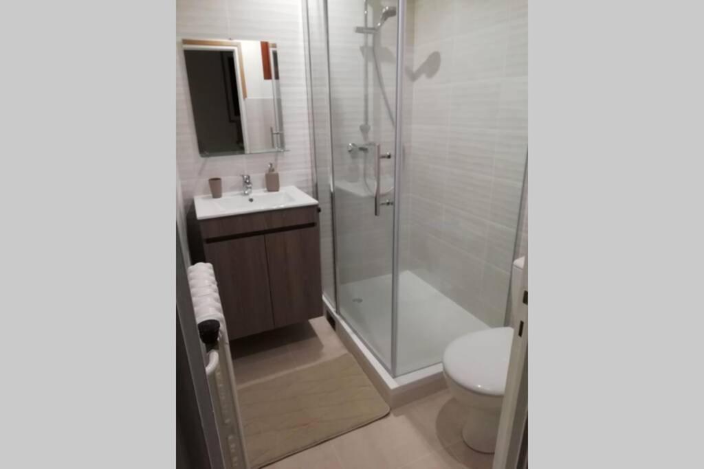 een badkamer met een douche, een toilet en een wastafel bij Studio en plein cœur de l'île de loisirs de Buthiers in Buthiers
