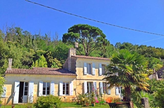 Bourg-sur-GirondeにあるLe Pain de Lune Gîte et Chambre d'hôtes avec Piscineの椰子の木のある丘の上の大きな黄色い家