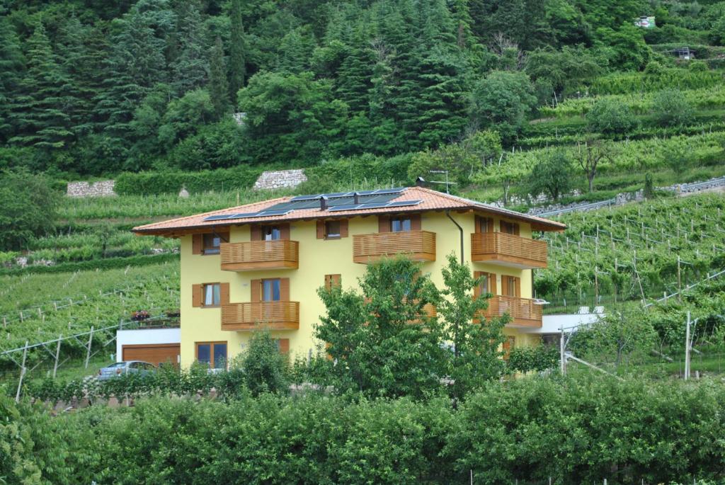 Příroda nedaleko bed and breakfast