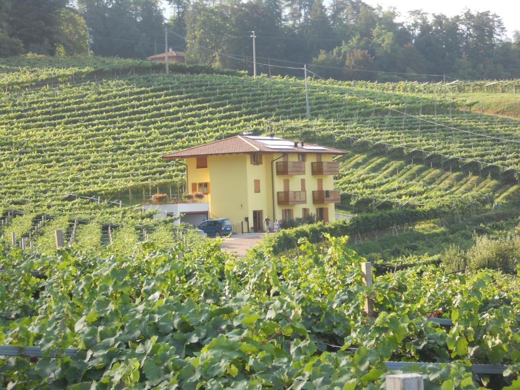 Zahrada ubytování Agritur al Vigneto