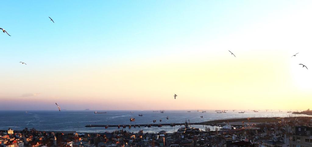 a group of people flying kites over the ocean at Benler Otel Laleli ISTanbul in Istanbul