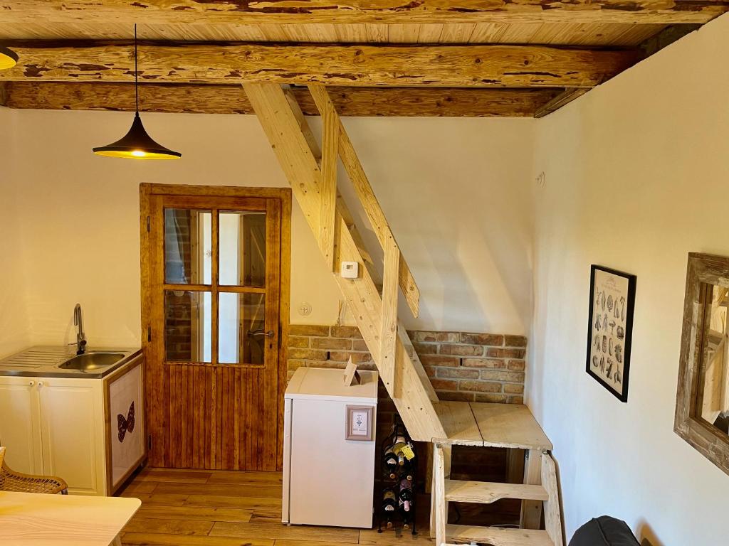Kuchnia lub aneks kuchenny w obiekcie Apartmány pod Kozákem