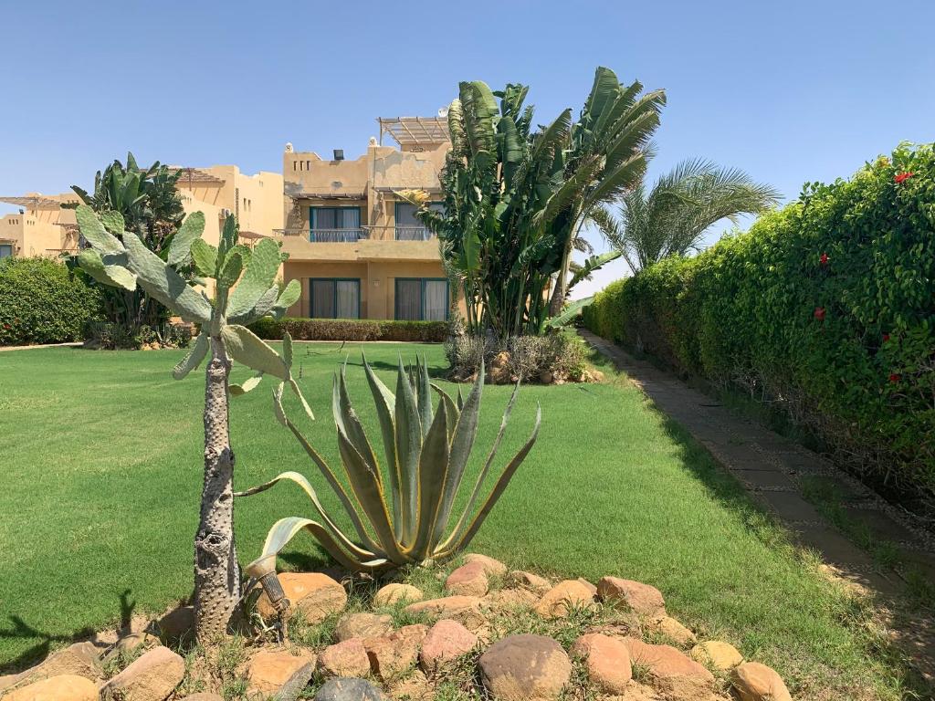 una palmera en un patio con un edificio en Villa with Sea View at Sinaway Lagoon Resort & Spa Ras Sedr - South Sinai, en Ras Sedr
