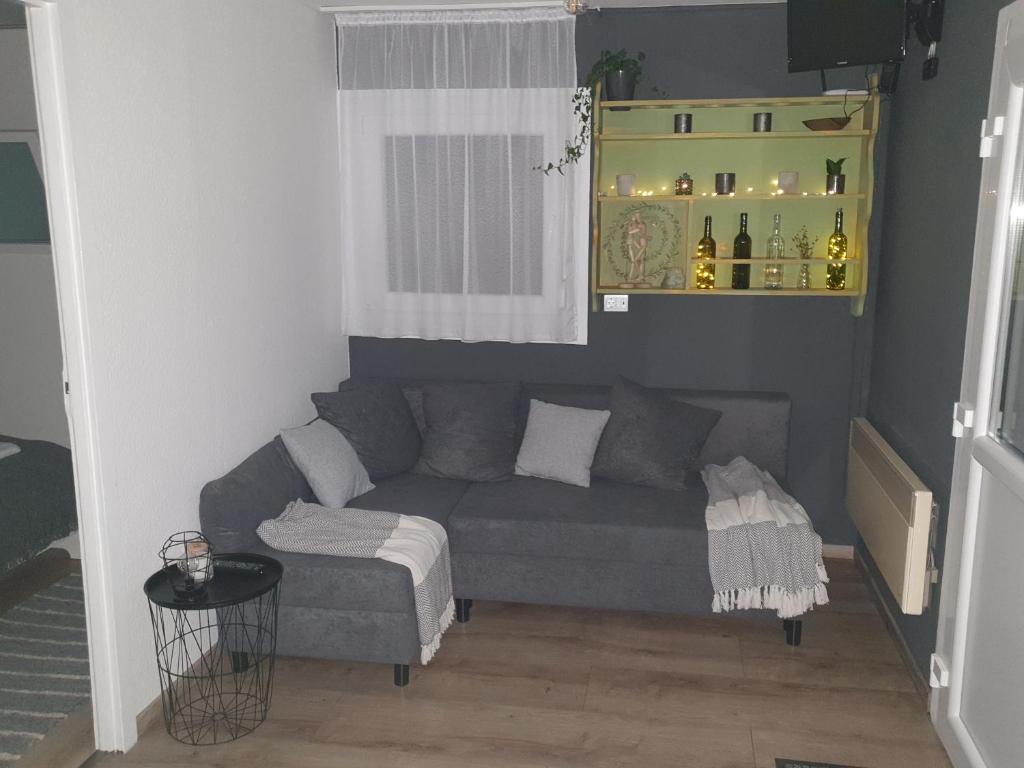 Posedenie v ubytovaní Amica Vendégház