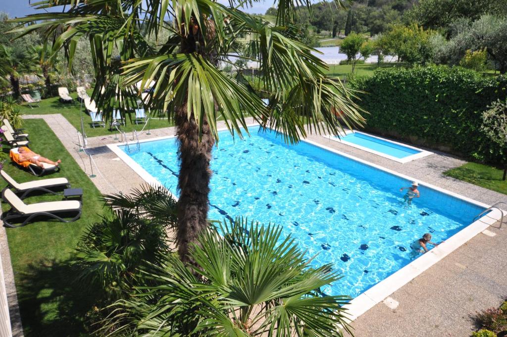 einen Blick über einen Pool mit einer Palme in der Unterkunft Hotel Panoramica in Salò