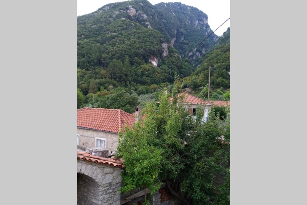 ΑΝΕΞΑΡΤΗΤΟ STUDIO ΣΤΟ ΟΜΟΡΦΟ ΚΑΣΤΟΡΕΙΟ - Appartement Met één Slaapkamer