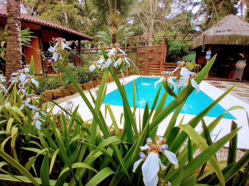 una piscina con flores blancas frente a una casa en Pousada da Terra Paraty, en Paraty