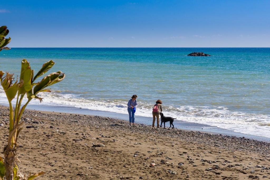 Seafront Boutique CalaBeach, Rincón de la Victoria ...