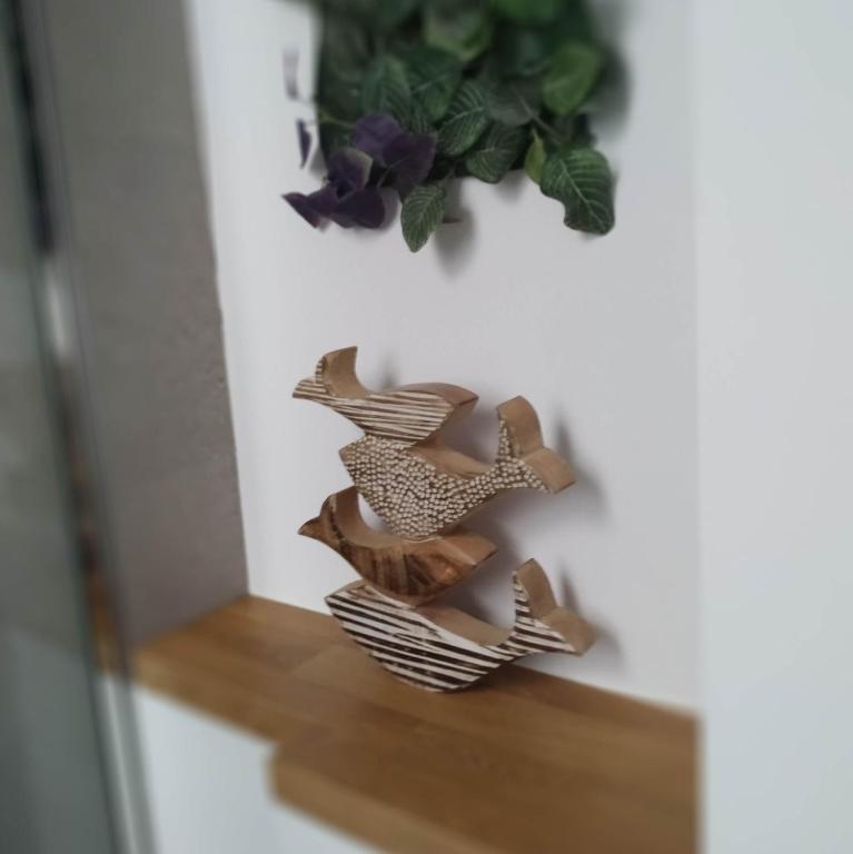 Apartamentos PROGRESO - 19