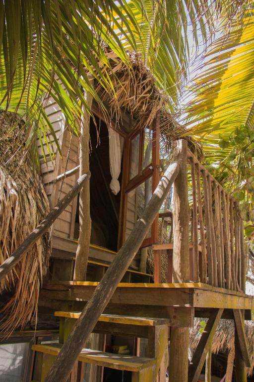 Fotografie z fotogalerie ubytování Chavez Eco Beach Camping and Cabañas v destinaci Tulum