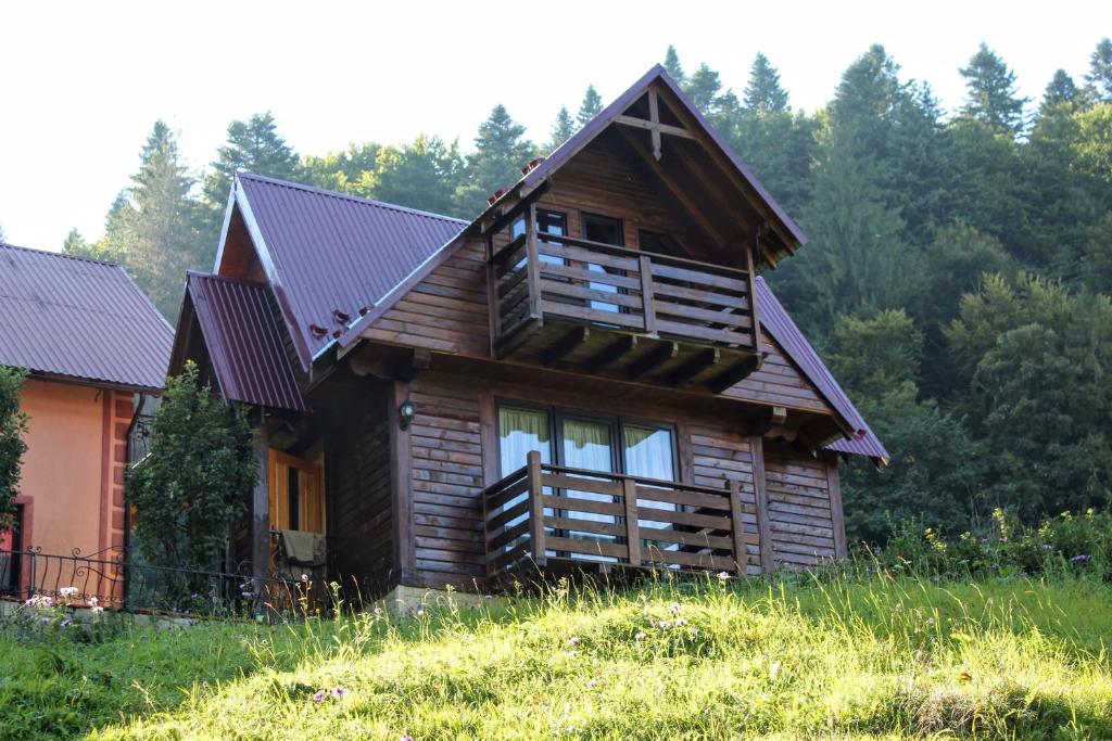 una cabaña de madera en una colina con árboles en el fondo en Cottage "Karpatske Shale", en Yaremche