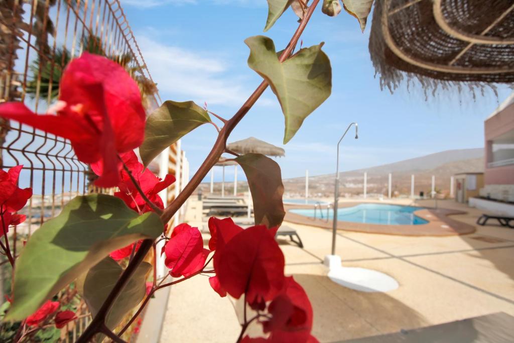 The swimming pool at or close to LUXURY PENTHOUSE, Best Sunset, Heated Pool, Fast WiFi