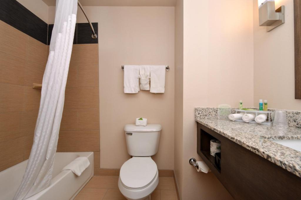 Holiday Inn Express & Suites Globe, an IHG Hotel - Standard King Room