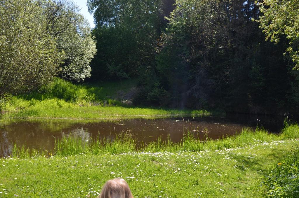 Příroda nedaleko apartmánu