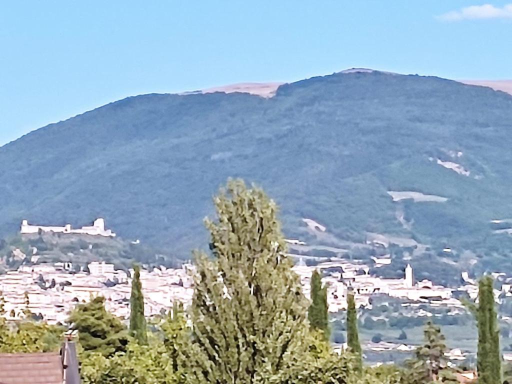 vistas a una ciudad frente a una montaña en Casa Vacanza Le Nid d'Assise, en Bastia Umbra