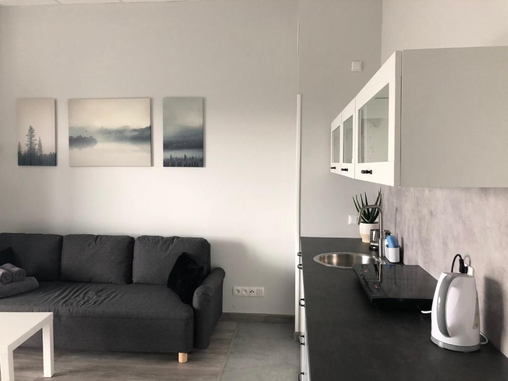 Apartamenty Na wzgórzu - Triple Studio Standard