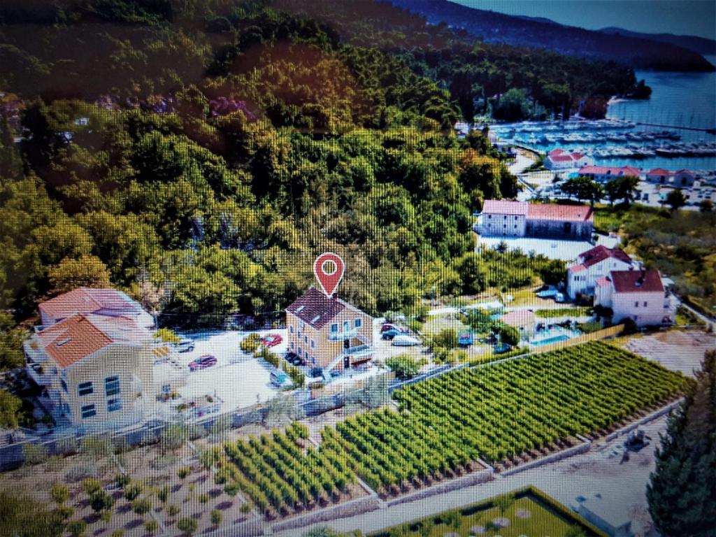 una vista aérea de una casa con un viñedo en Apartments Mimoza, en Slano