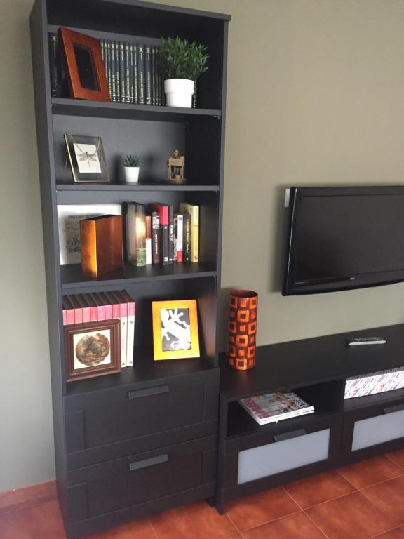 The library in Az apartmant
