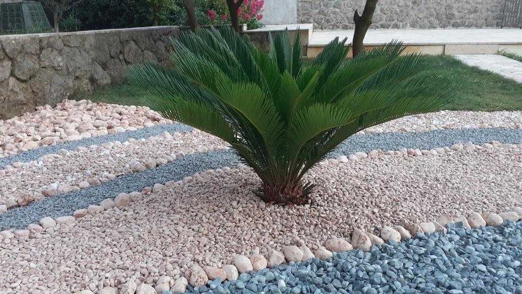 Ogród w obiekcie Opatija Centar