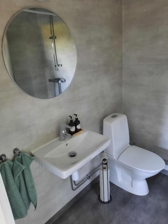 a bathroom with a white sink and a mirror at Villa Gebbie in Vessigebro