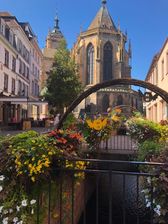 Colombages de la Lauch – photo 43