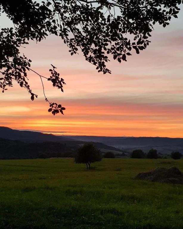 Príroda v okolí horskej chaty