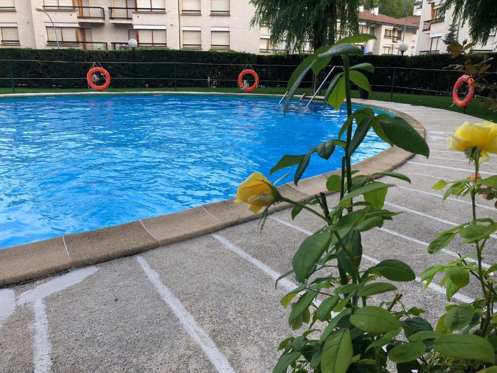 Bazén v ubytování Apartamento Alba nebo v jeho okolí