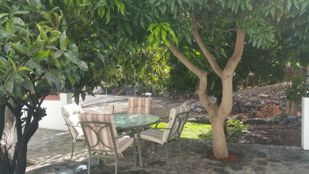 エルミグアにあるCasa el Hoyoの木の下に座る椅子とテーブル