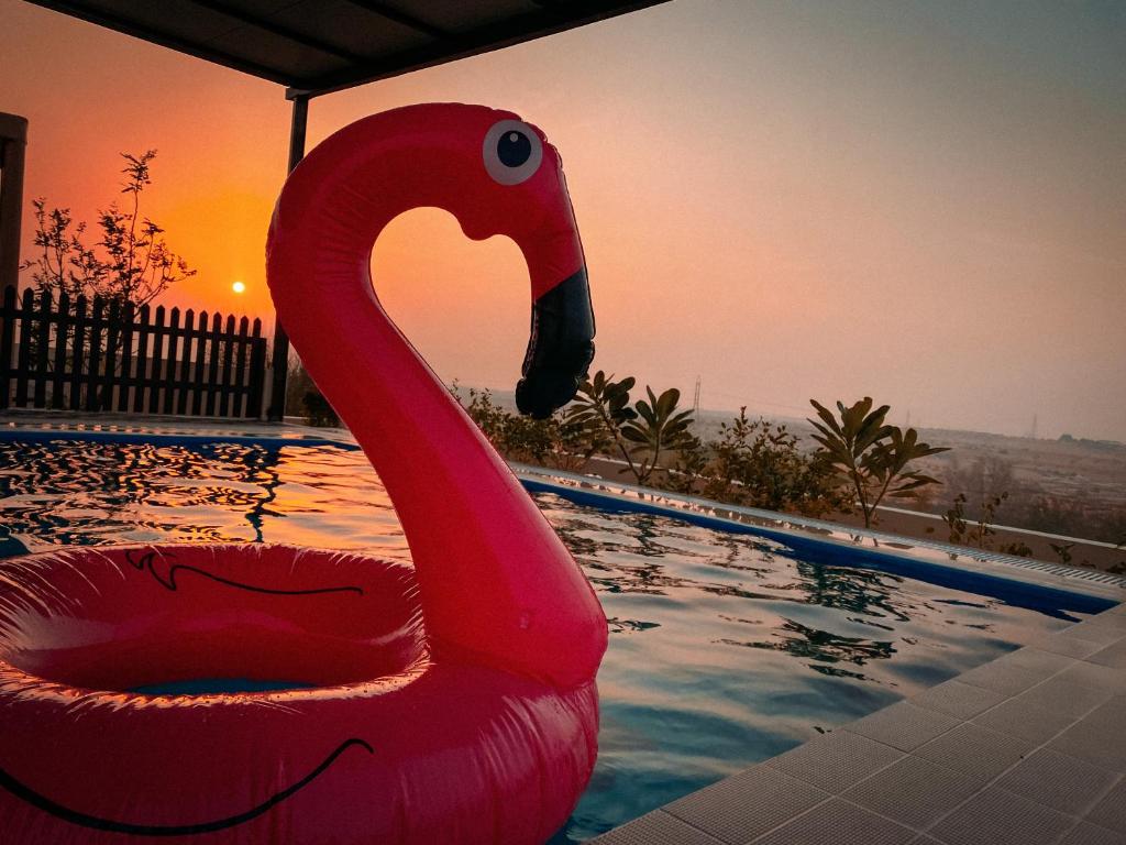 a red swan in a swimming pool at sunset at Desert Dune Farmhouse - By Seven Elements in Ras al Khaimah