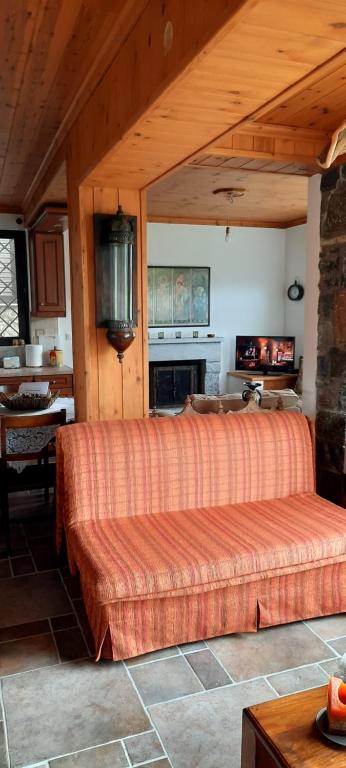 een woonkamer met een grote bank in een huis bij Elati's traditional and cosy home in Eláti