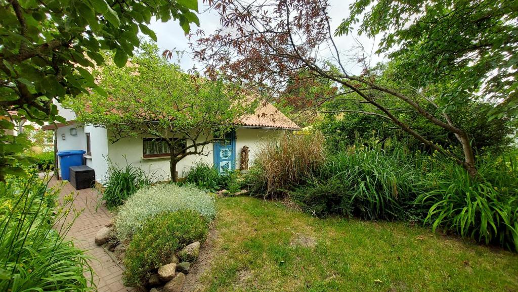 a small white house with a garden in front of it at Ferienhaus Julchen Samtens in Samtens